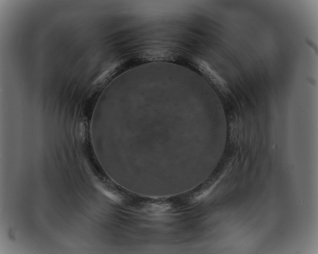 X0000092100165200709121551