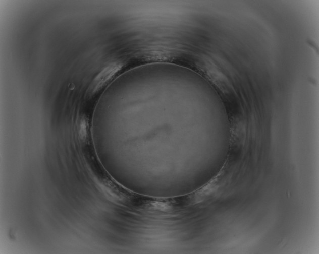 X0000092100166200709121551