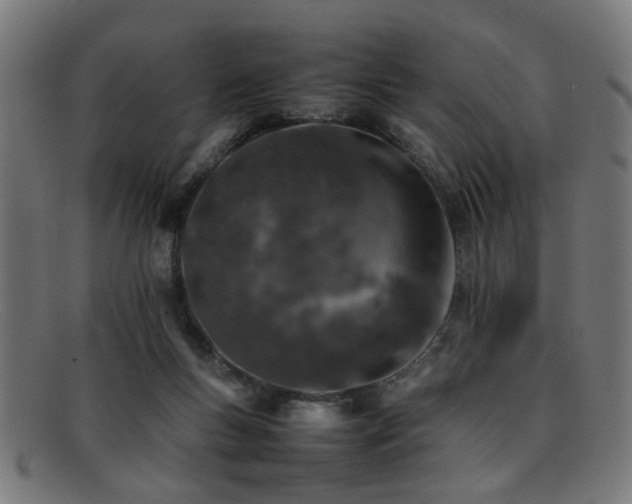 X0000092100167200709121551