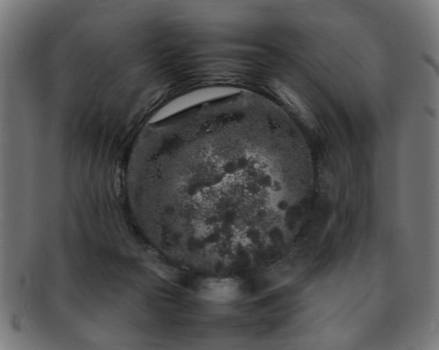 X0000092100169200709121551