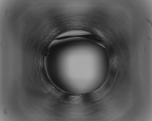 X0000092100170200709121551