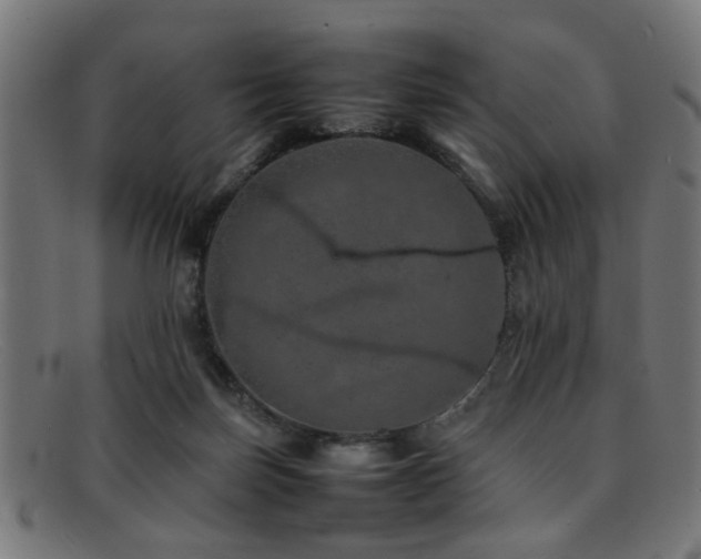 X0000092100171200709121551