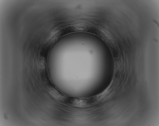 X0000092100174200709121551