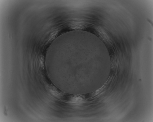 X0000092100175200709121551