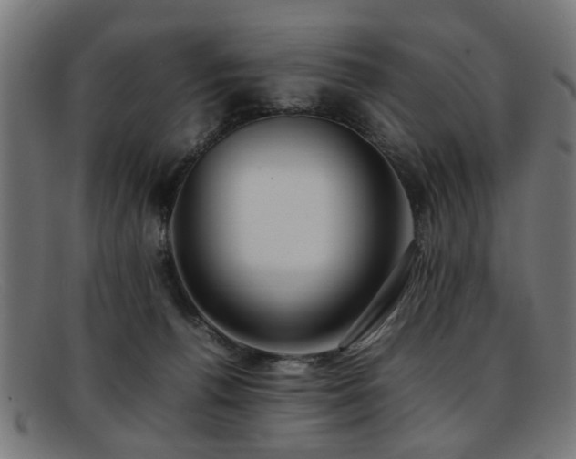 X0000092100176200709121551