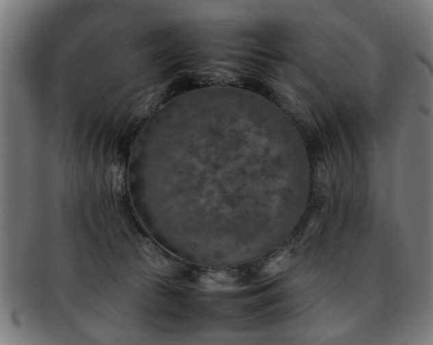 X0000092100177200709121551