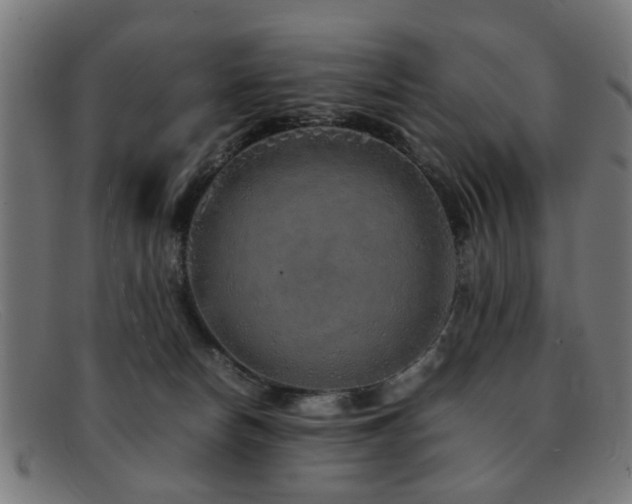 X0000092100178200709121551