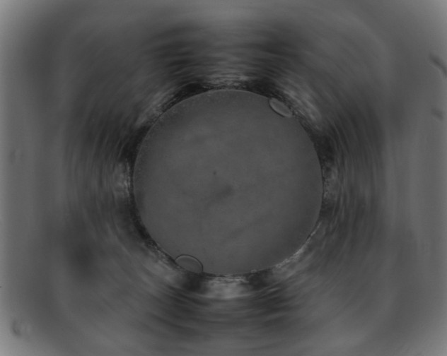 X0000092100179200709121551