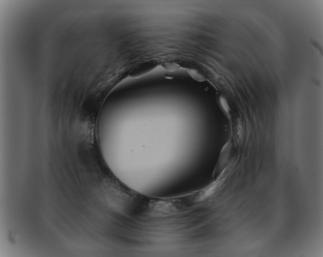 X0000092100180200709121551