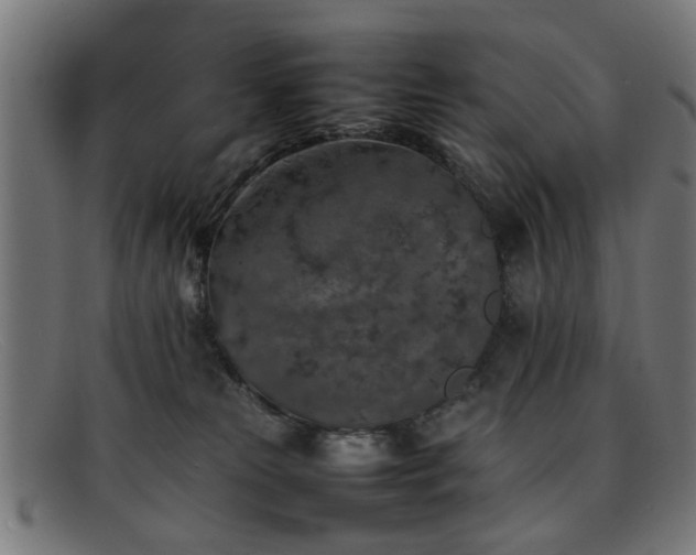 X0000092100181200709121551