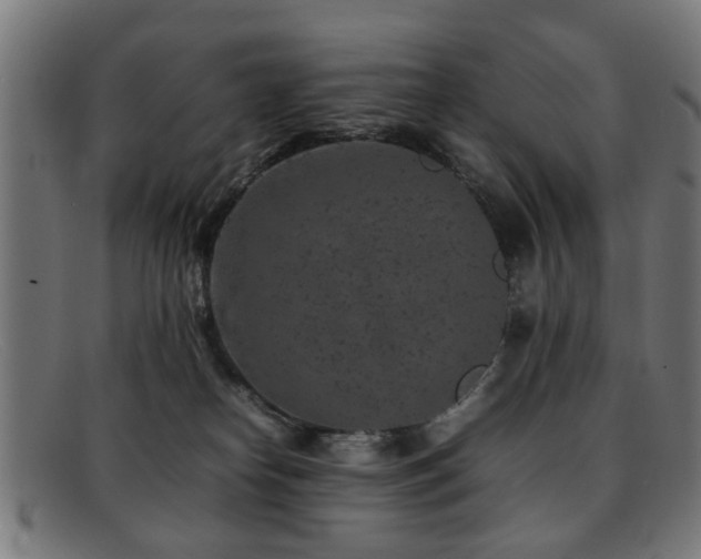 X0000092100182200709121551