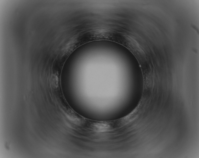 X0000092100183200709121551