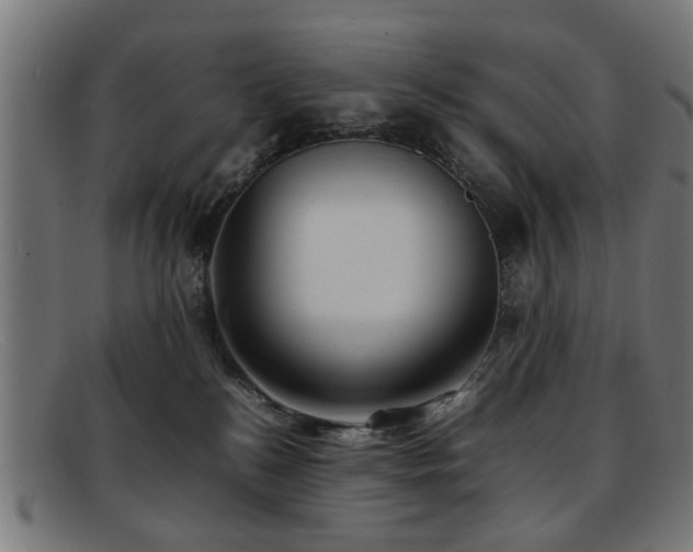 X0000092100184200709121551