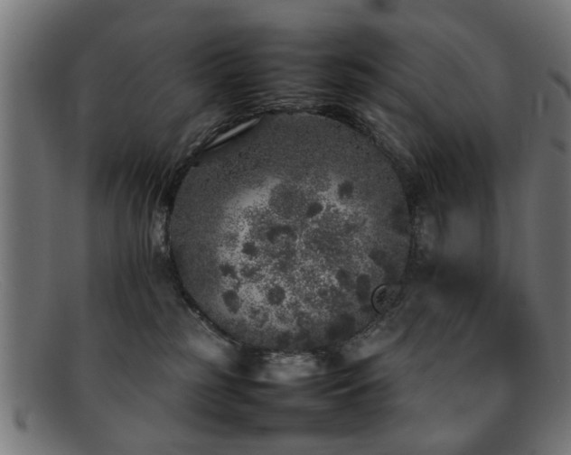 X0000092100185200709121551
