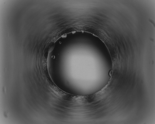 X0000092100186200709121551