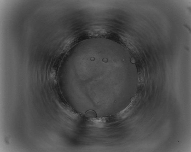 X0000092100187200709121551