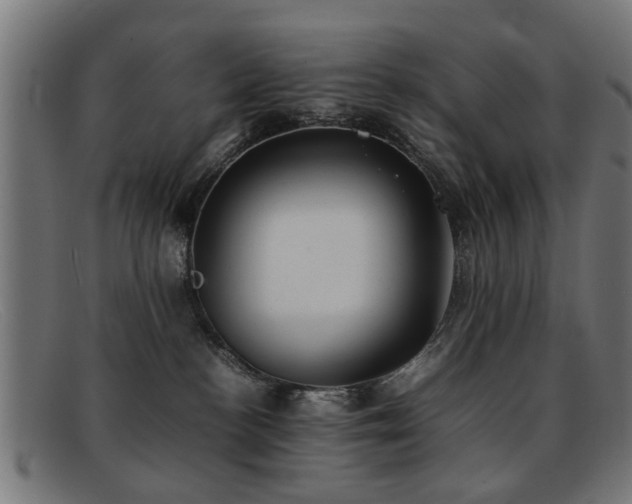 X0000092100188200709121551