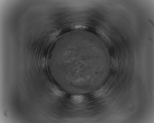 X0000092100189200709121551