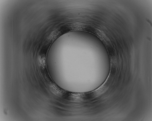 X0000092100190200709121551