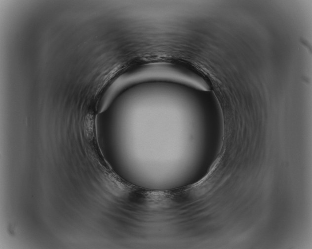 X0000092100192200709121551