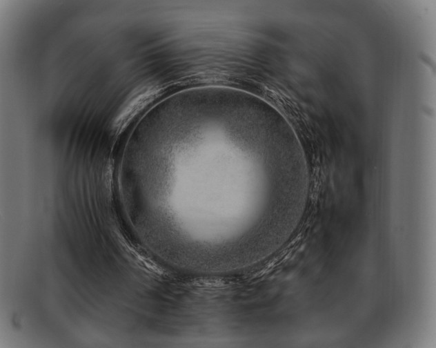 X0000092100194200709121550