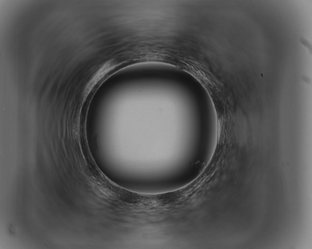 X0000092100195200709121550