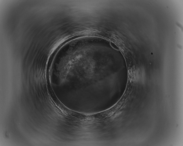 X0000092100196200709121550