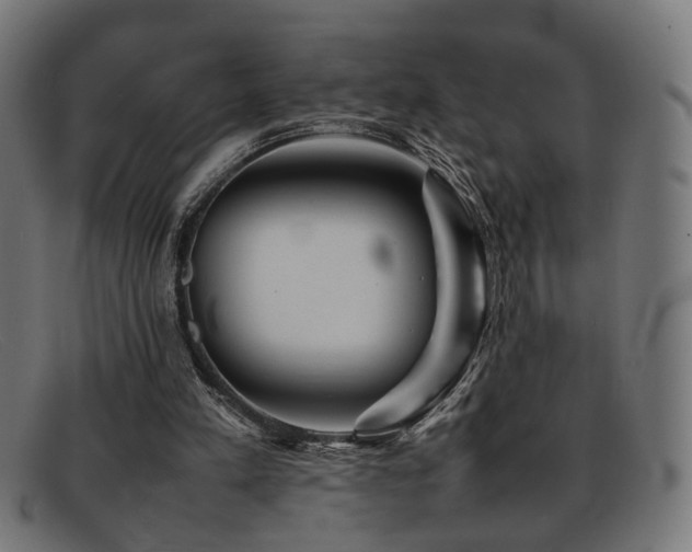 X0000092100197200709121550