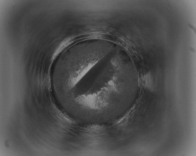 X0000092100198200709121550