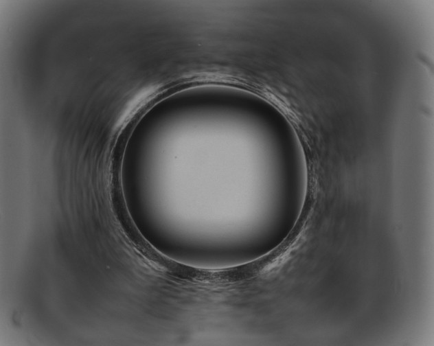 X0000092100199200709121550