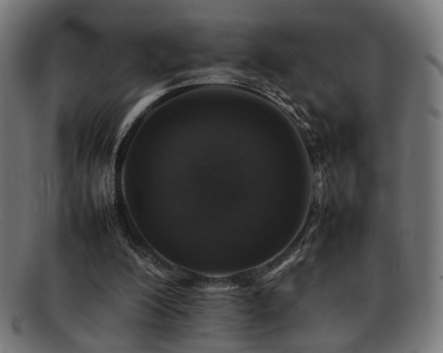 X0000092100200200709121550