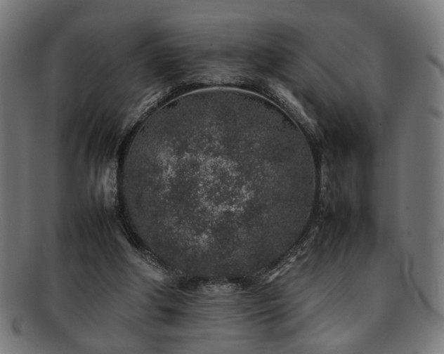 X0000092100202200709121550