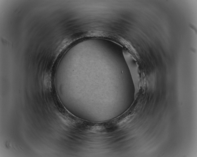 X0000092100204200709121550