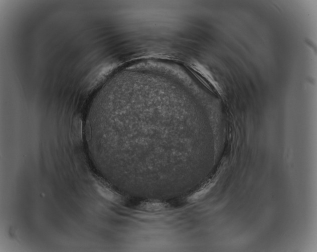 X0000092100205200709121550