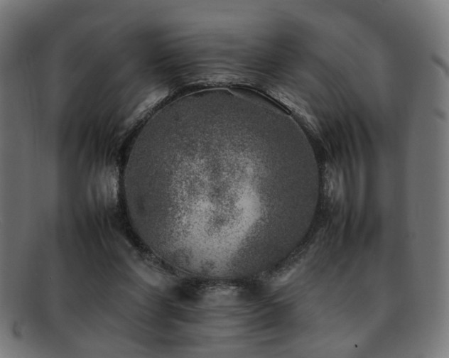 X0000092100206200709121550