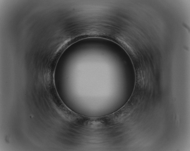 X0000092100208200709121550