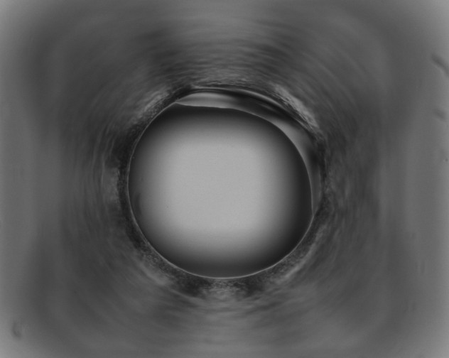 X0000092100209200709121550