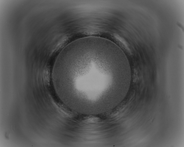 X0000092100210200709121550