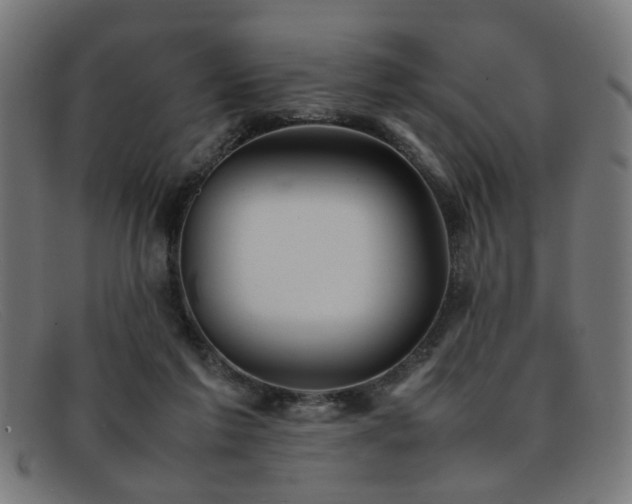 X0000092100213200709121550