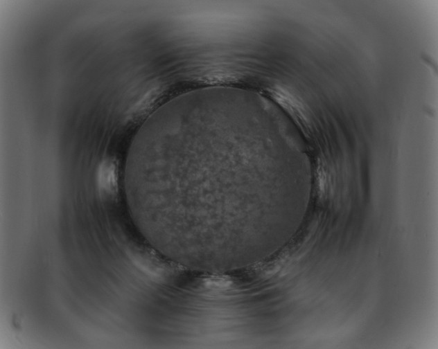 X0000092100214200709121550