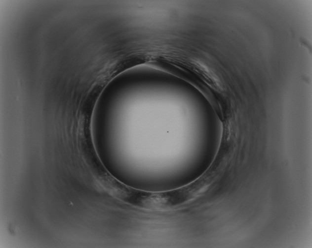 X0000092100217200709121550