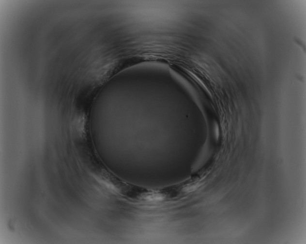 X0000092100219200709121550