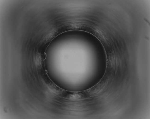 X0000092100220200709121550