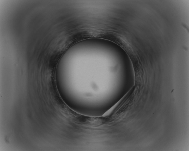 X0000092100221200709121550