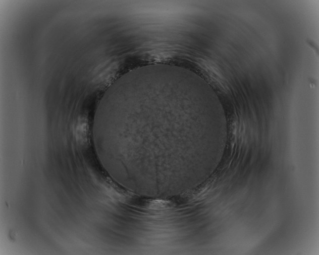 X0000092100222200709121550