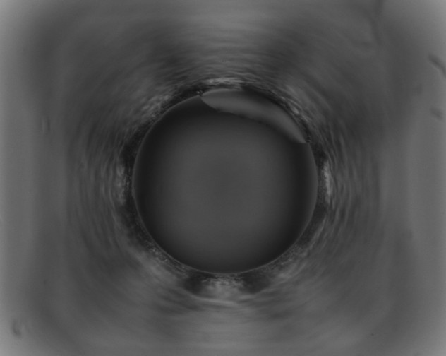 X0000092100223200709121550