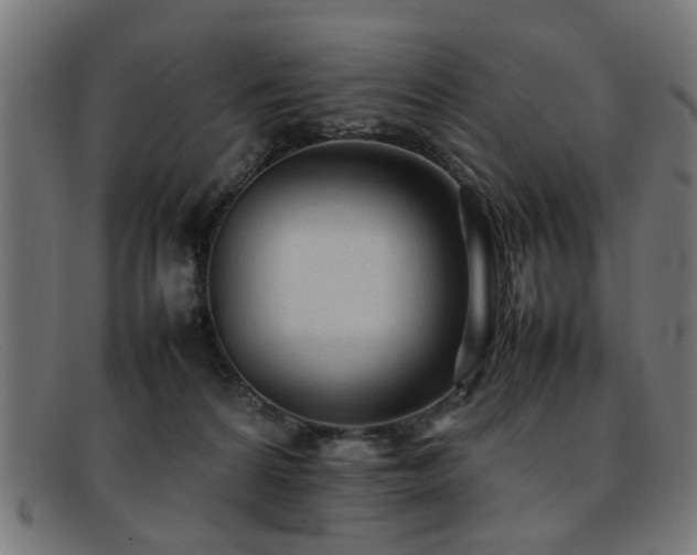 X0000092100224200709121550