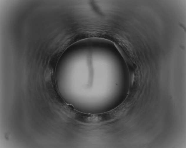 X0000092100225200709121550