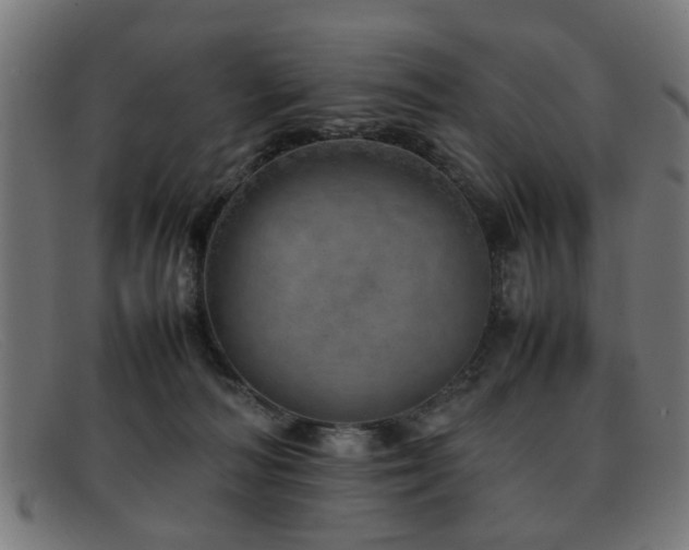 X0000092100226200709121550