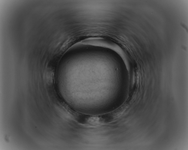 X0000092100227200709121550